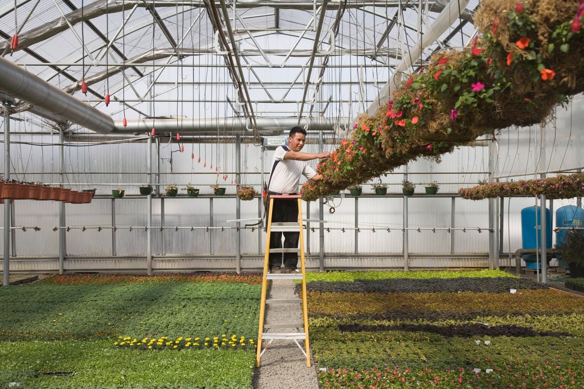 so sánh SAP và ERP nội địa - Minh họa quy trình vận hành 3